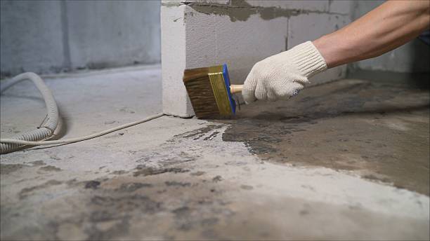 Top rated local Basement Waterproofing specialists in Hermitage, TN